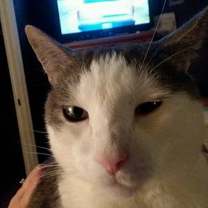 Meet your Posher, Rosemary